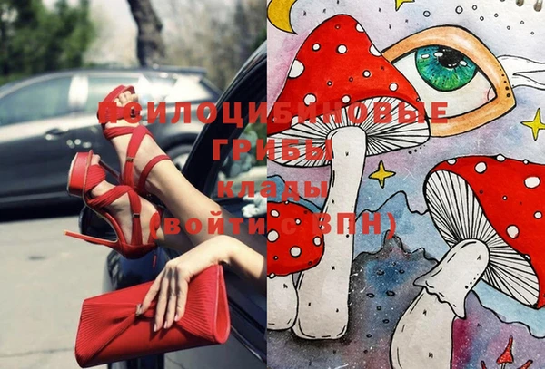 герыч Верхний Тагил