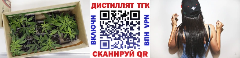 ТГК концентрат  Ачхой-Мартан 