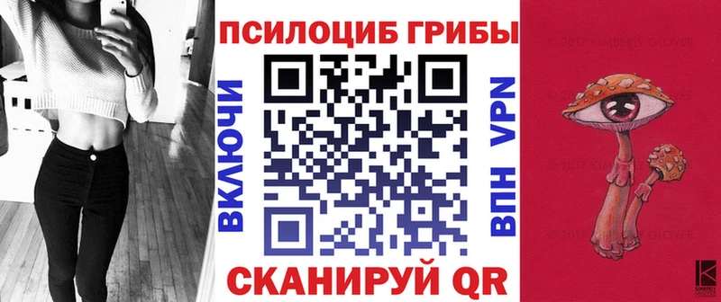 Псилоцибиновые грибы MAGIC MUSHROOMS  MEGA зеркало  Ачхой-Мартан 