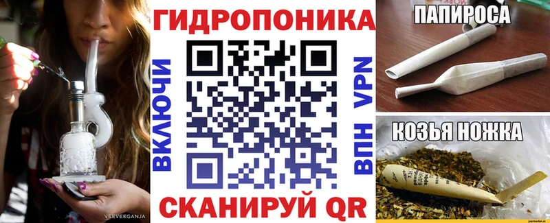 купить наркотик  Ачхой-Мартан  Каннабис VHQ 